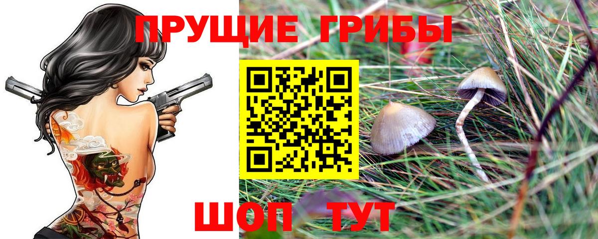 Псилоцибиновые грибы MAGIC MUSHROOMS Скопин